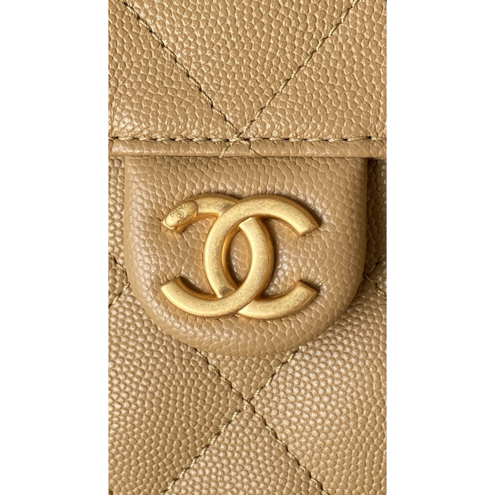 Chanel Small 25Bag 25A Limited Edition New Color! Chanel Small 25Bag 25A Limited Edition New Color!