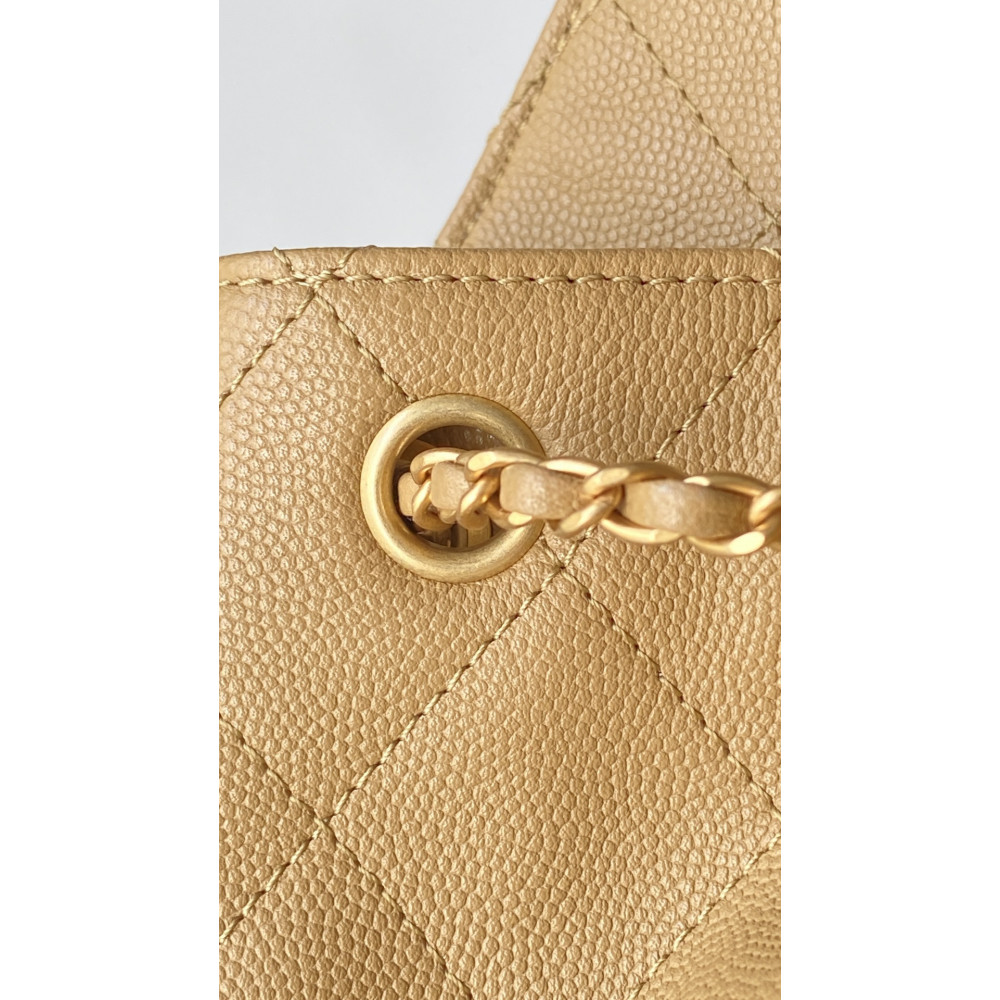 Chanel Small 25Bag 25A Limited Edition New Color! Chanel Small 25Bag 25A Limited Edition New Color!