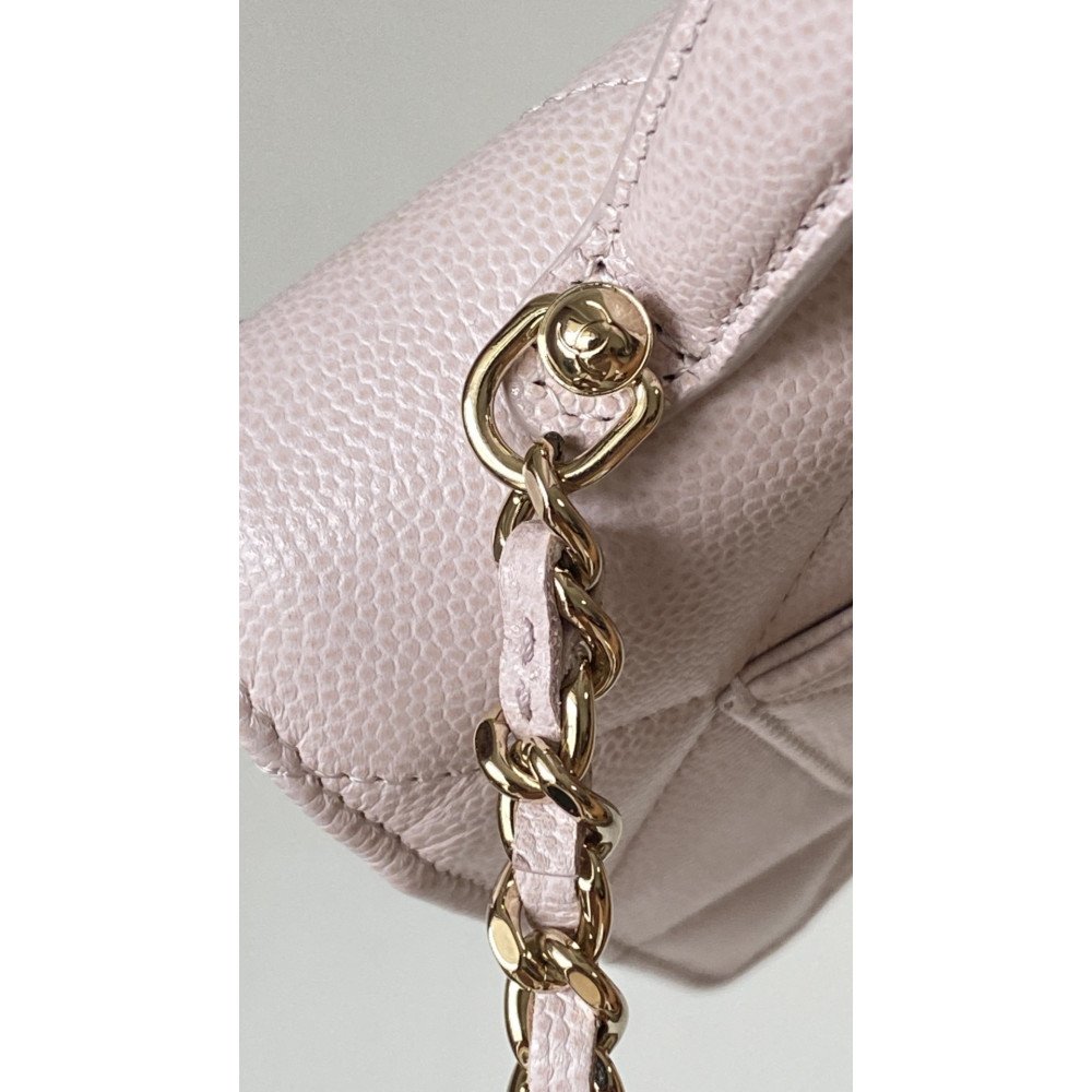 ✨ Chanel 25K WOC Handle Bag |