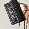 Chanel 25B New Handle Style Woc