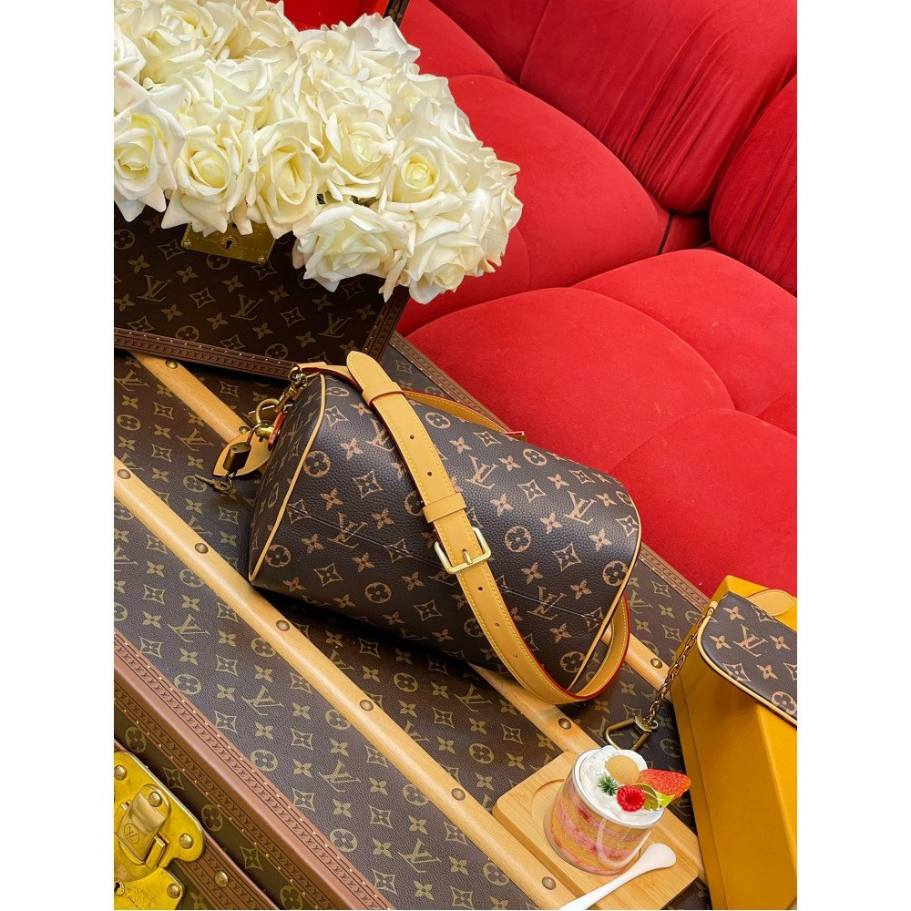 Louis Vuitton M24443 Speedy P9 Bandoulière 25 handbag Louis Vuitton M24443 Speedy P9 Bandoulière 25 handbag